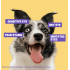 HICCPET 寵物淚痕潔眼紙 100片裝 - 無香（貓狗適用）